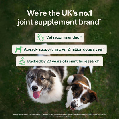 Yumove Senior Dog Joint Supplement, Daily Bites for Joint Care, Essential Dog Hip and Joint Aid for Senior Dogs Aged 8+, 60 Tablets - Eco Friendly and Letter Box Ready Packaging