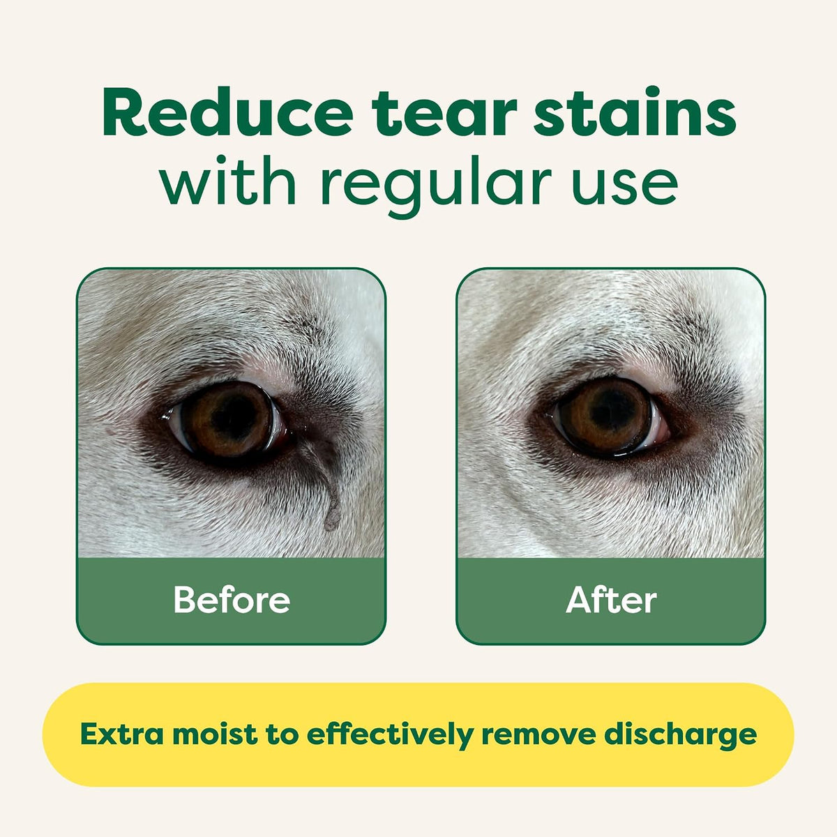 Earth Rated Vet-Developed Pet Eye Wipes, Hypoallergenic Cleaner for Dogs & Cats Eyes to Remove Dirt & Discharge, Fragrance Free, 70 Count