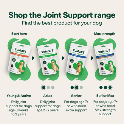 Yumove Senior Dog Joint Supplement, Daily Bites for Joint Care, Essential Dog Hip and Joint Aid for Senior Dogs Aged 8+, 60 Tablets - Eco Friendly and Letter Box Ready Packaging