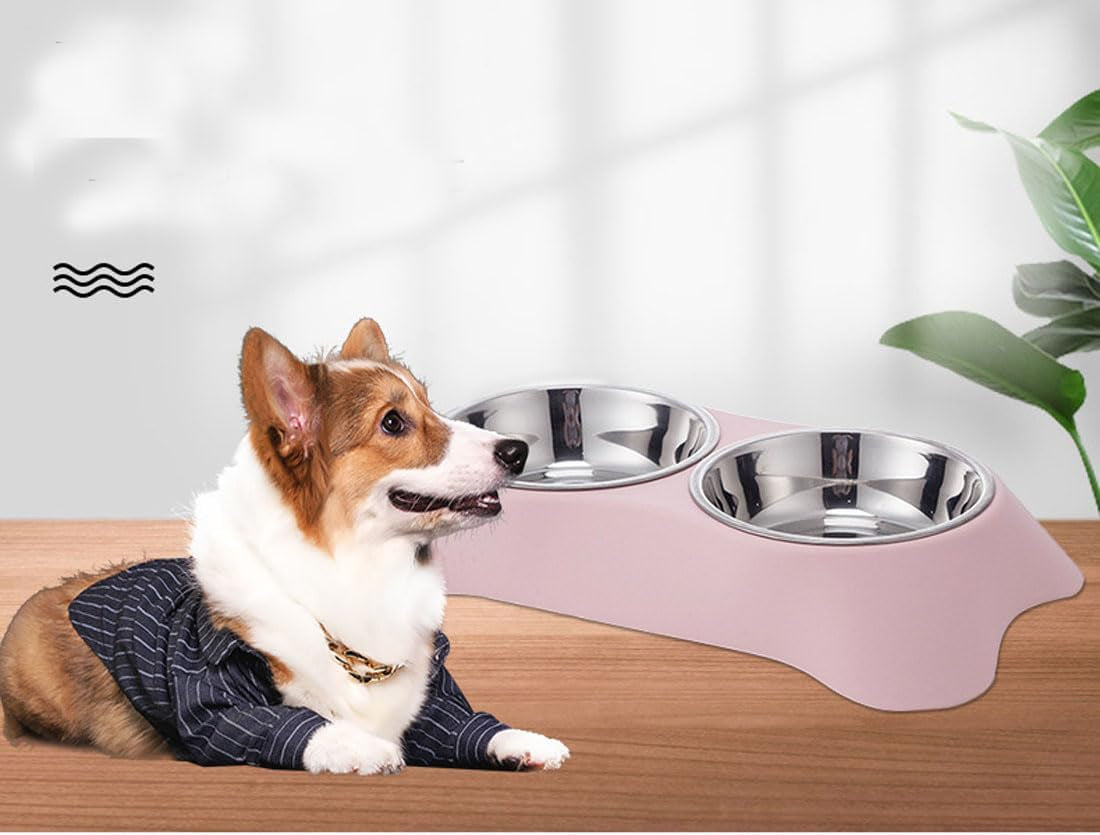 Double Dog Bowl,Non Slip Stainless Steel Double Bowls (M, Blue) | Non-Spill Pet Double Bowls with 1 Pet Food Spoop for Small Dogs and Cats
