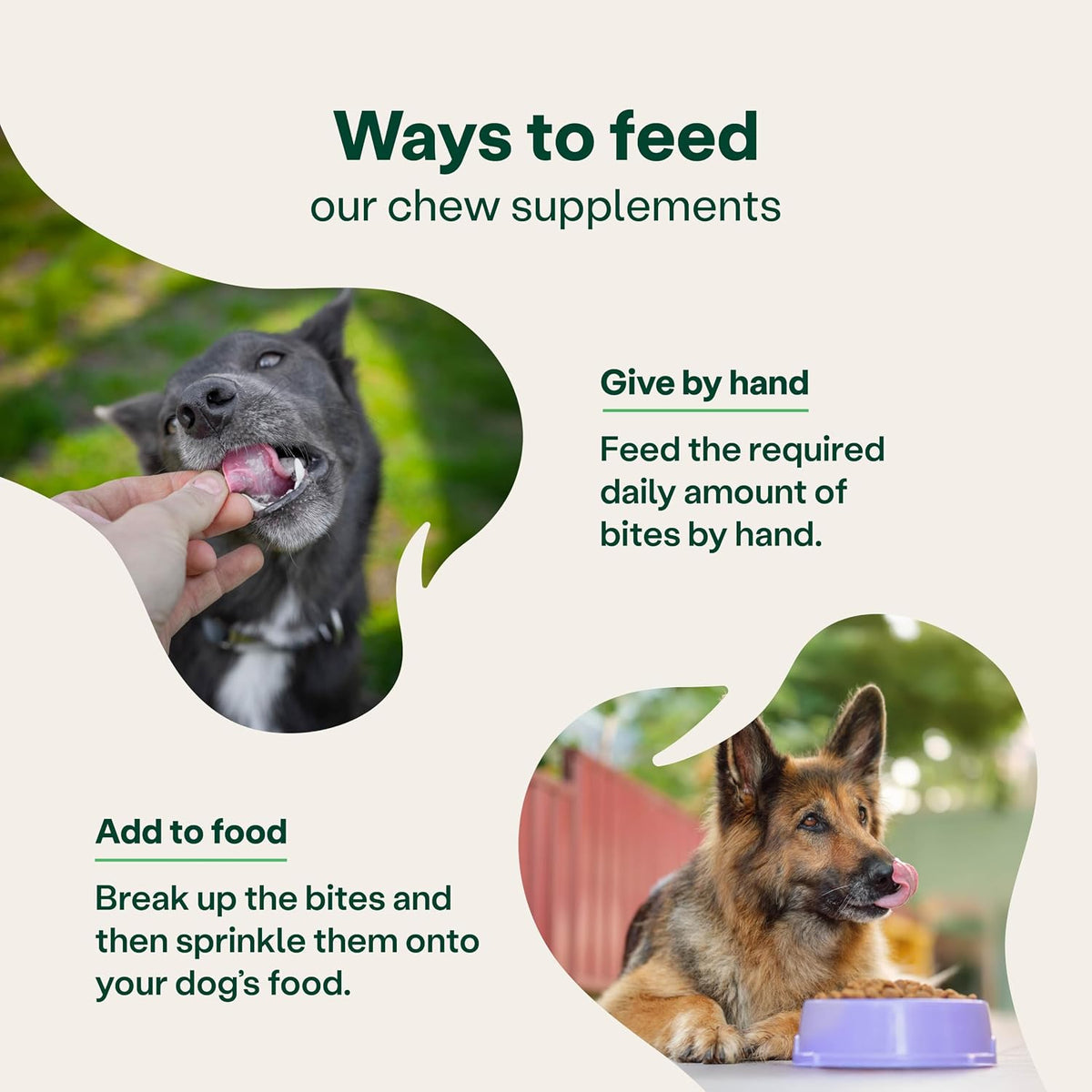 Yumove Senior Dog Joint Supplement, Daily Bites for Joint Care, Essential Dog Hip and Joint Aid for Senior Dogs Aged 8+, 60 Tablets - Eco Friendly and Letter Box Ready Packaging