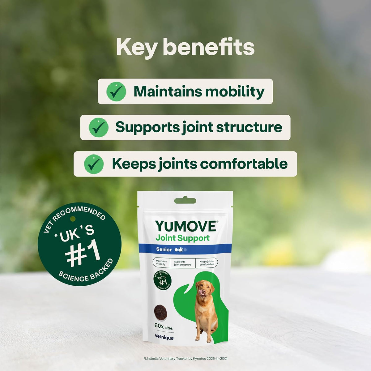 Yumove Senior Dog Joint Supplement, Daily Bites for Joint Care, Essential Dog Hip and Joint Aid for Senior Dogs Aged 8+, 60 Tablets - Eco Friendly and Letter Box Ready Packaging