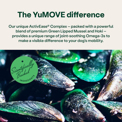 Yumove Senior Dog Joint Supplement, Daily Bites for Joint Care, Essential Dog Hip and Joint Aid for Senior Dogs Aged 8+, 60 Tablets - Eco Friendly and Letter Box Ready Packaging